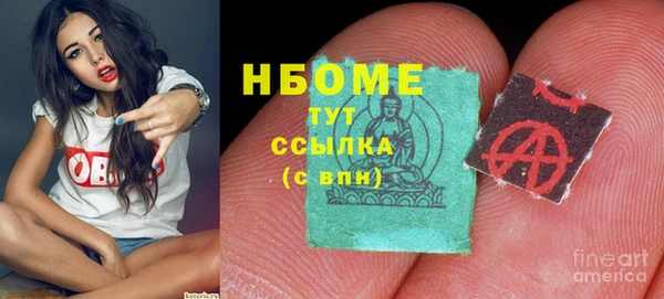 амф Тында